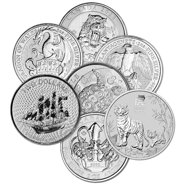 2 oz Sovereign Silver Coin (Design Our Choice)