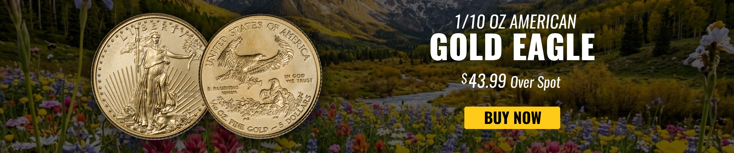 1/10 oz american gold eagle - $43.99 over spot