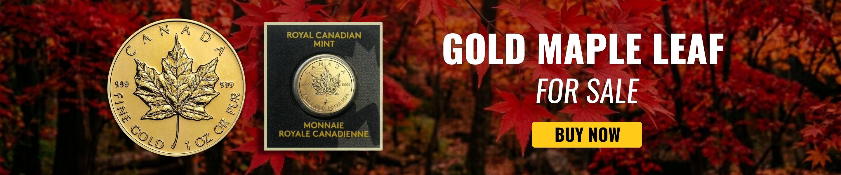 Gold Maple Leaf for SALE